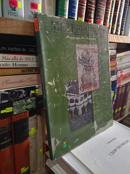METEPEC 2000 POR EL AYUNTAMIENTO DE METEPEC USADO ARTE LITERARIO 305