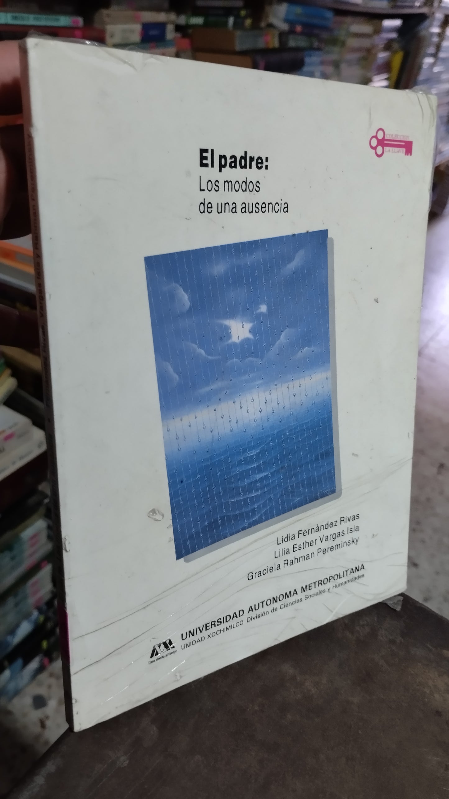 EL PADRE LOS MODOS DE UNA AUSENCIA POR LA UNIVERSIDAD AUTONOMA METROPOLITANA LIBRO USADO PSICOLOGÍA ALDAMA