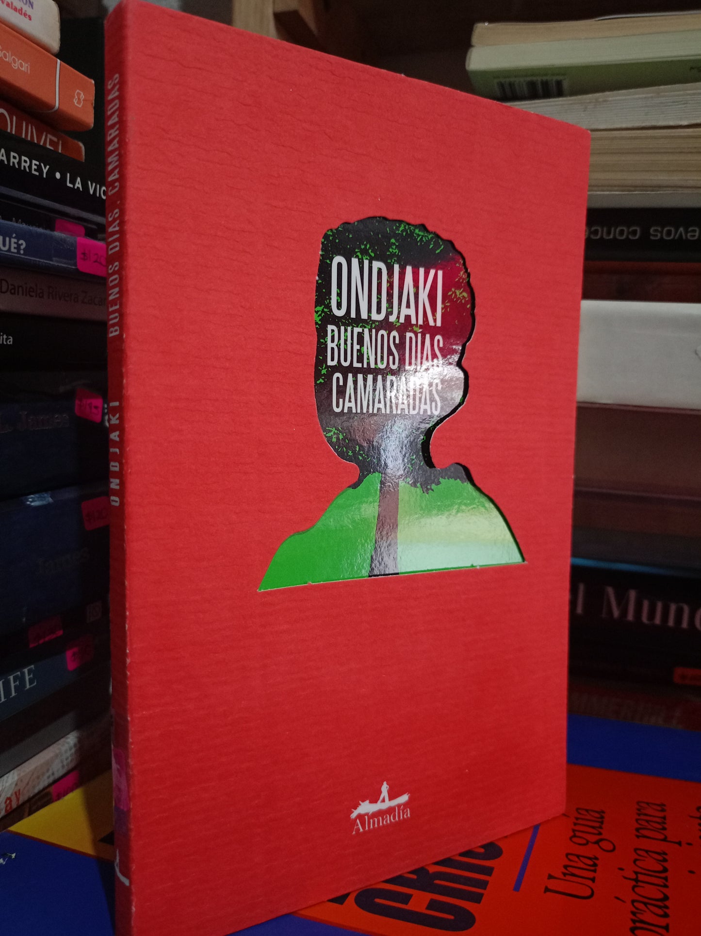 ONDJAKI BUENOS DIAS CAMARADAS USADO NOVELA LITERARIO 305