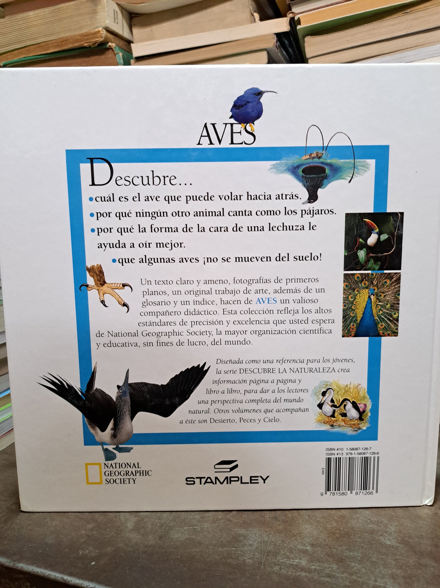 DESCUBRE LA NATURALEZA AVES K.M. KOSTYAL USADO INFANTIL ALDAMA