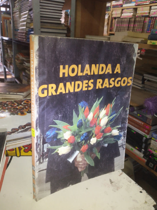 HOLANDA A GRANDES RASGOS USADO TURISMO INTERNACIONAL LITERARIO 207