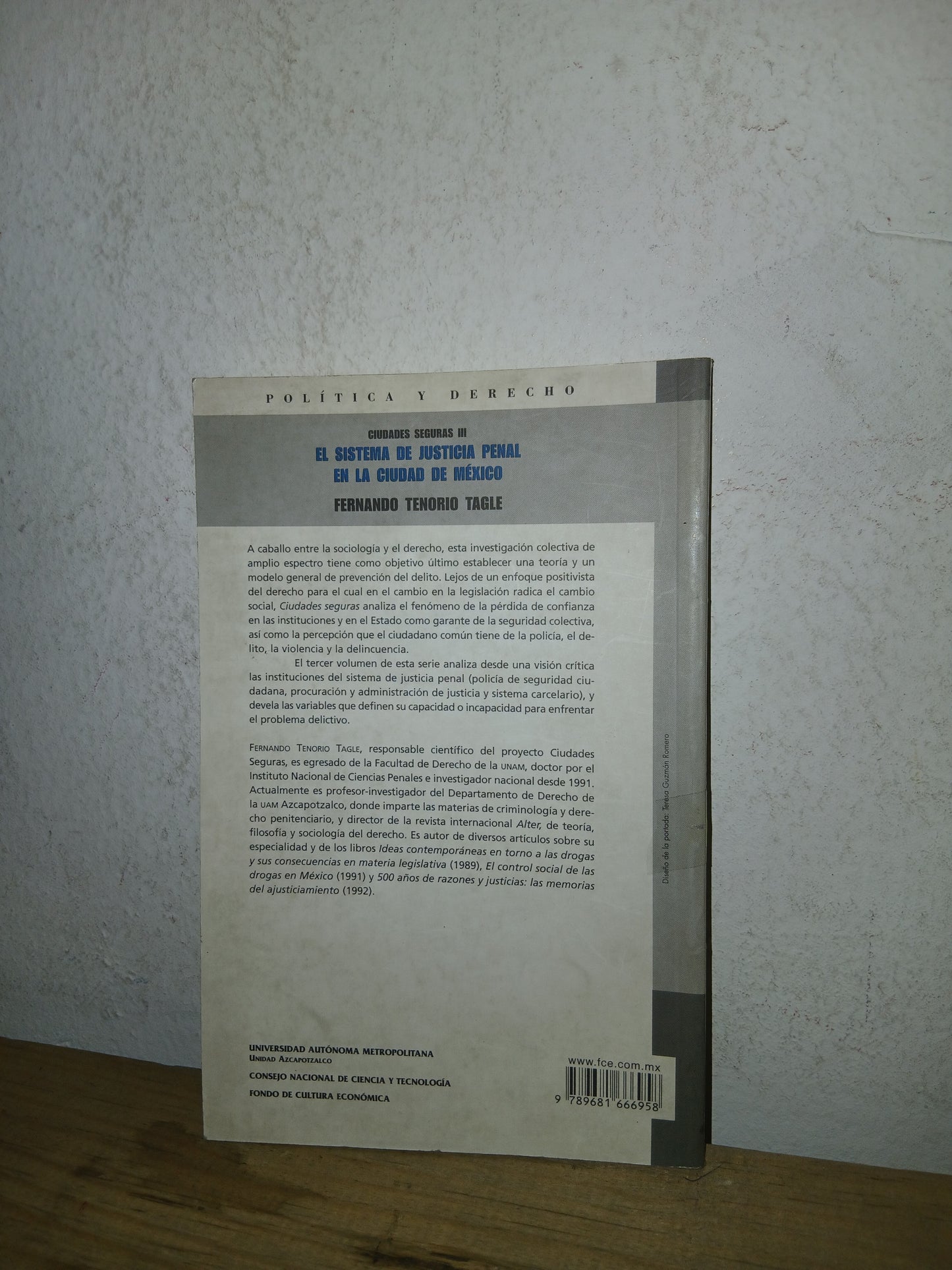 CIUDADES SEGURAS (III): SISTEMA DE JUSTICIA PENAL EN LA CIUDAD DE MÉXICO POR FERNANDO TENORIO TAGLE USADO DERECHO LITERARIO 207