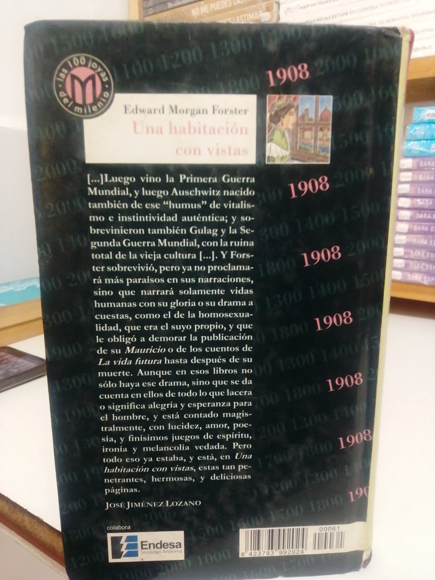 UNA HABITACIÓN CON VISTAS POR EDWARD MORGAN FORSTER USADO NOVELA JUAREZ