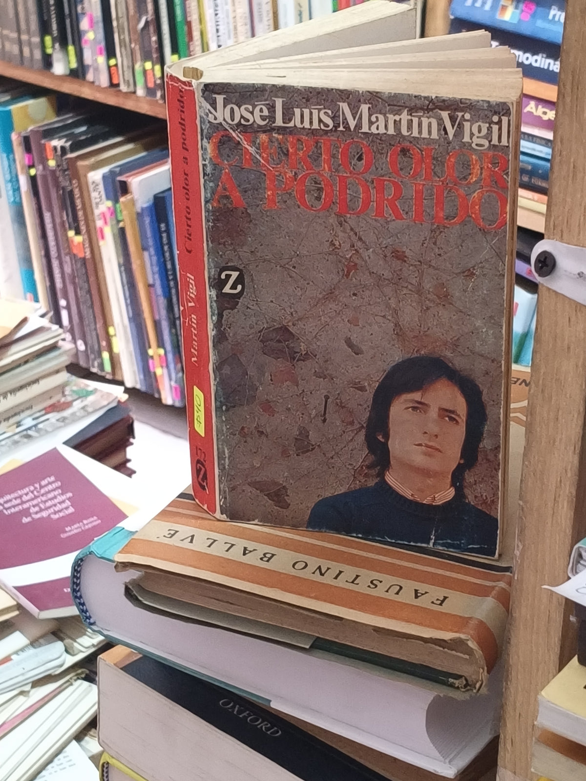 CIERTO OLOR A PODRIDO JOSE LUIS MARTIN VIGIL USADO NOVELA LITERARIO 305