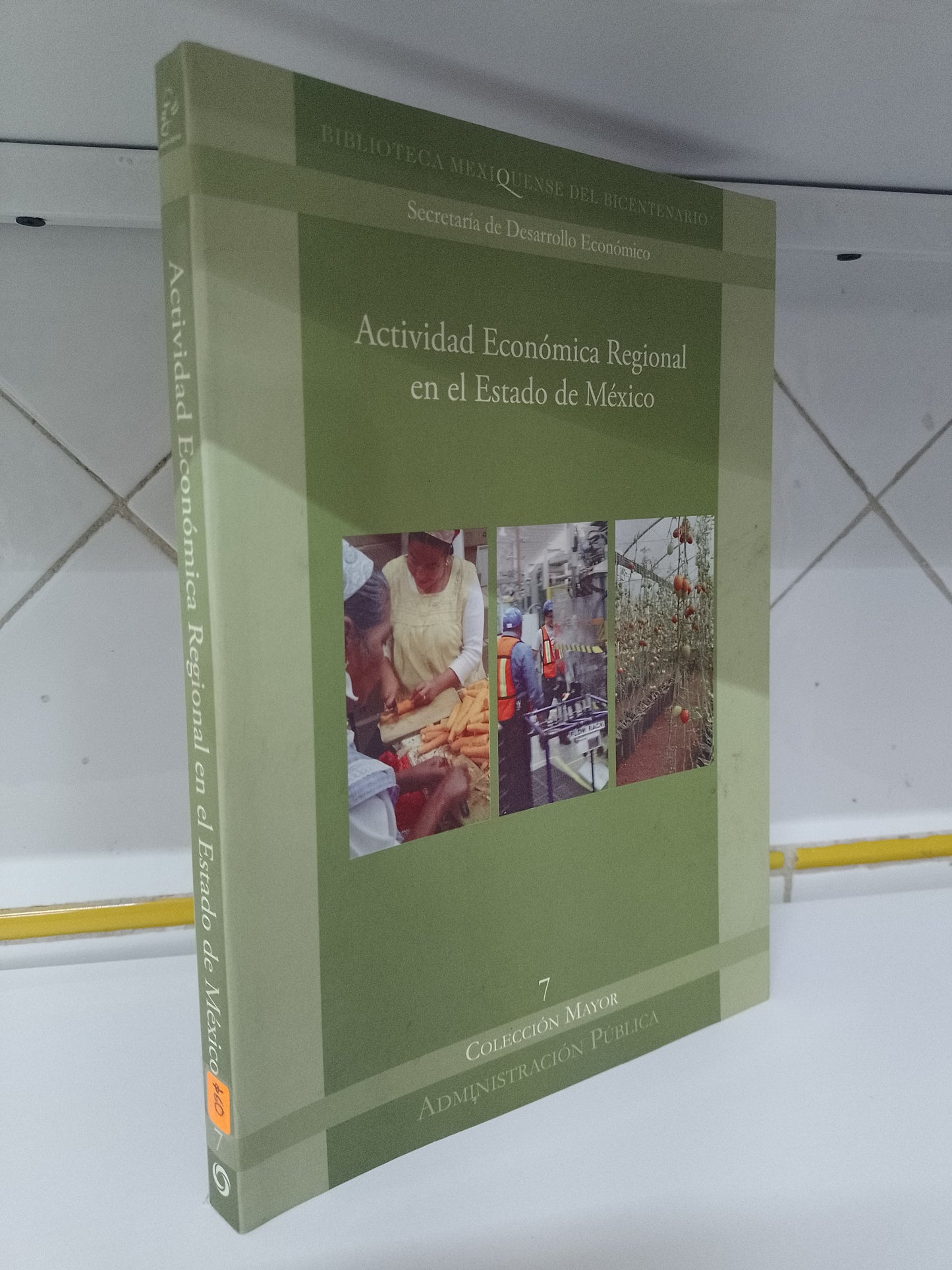 ACTIVIDAD ECONOMICA REGIONAL EN EL ESTADO DE MEXICO POR SECRETARIA DE DESARROLLO ECONOMICO USADO SOCIOLOGIA JUAREZ 515