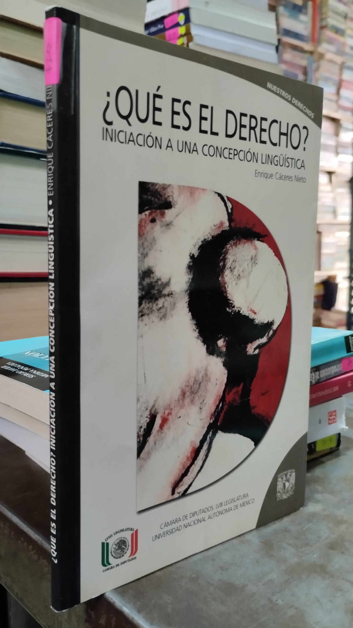 QUE ES EL DERECHO INICIACION A UNA CONCEPCION LINGÜISTICA POR ENRIQUE CACERES NIETO LIBRO USADO DERECHO ALDAMA