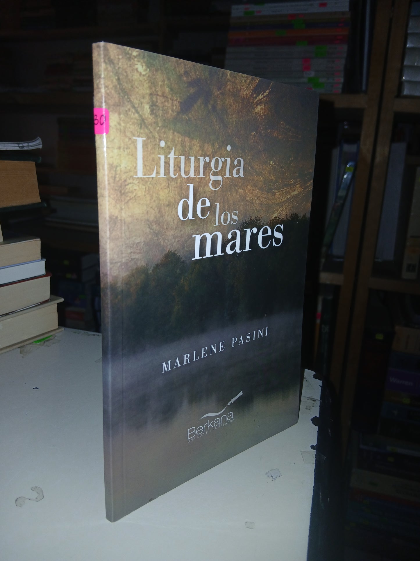 LITURGIA DE LOS MARES POR MARLENE PASINI USADO POESÍA LITERARIO 207