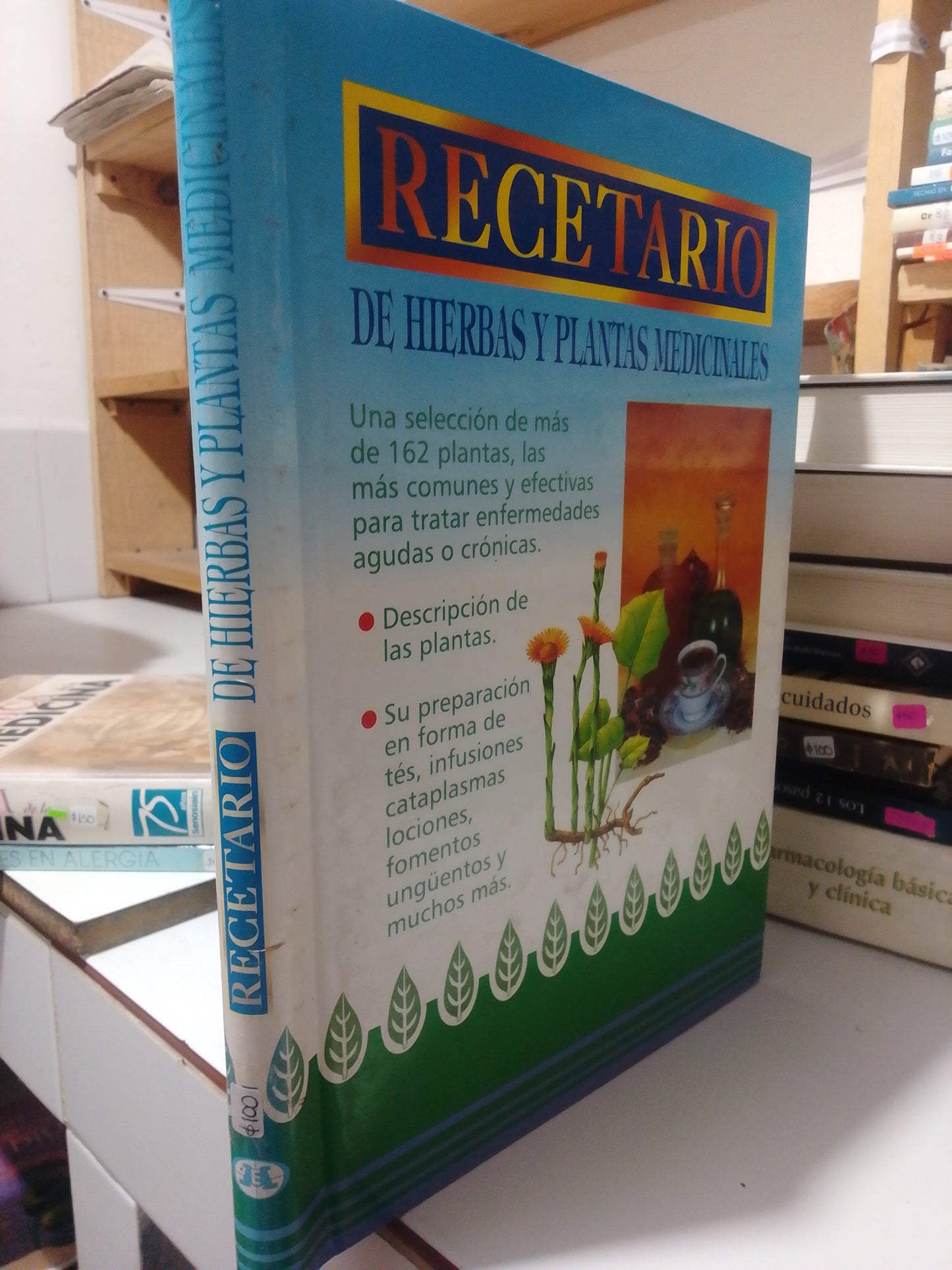 RECETARIO DE HIERBAS Y PLANTAS MEDICINALES USADO SALUD JUAREZ
