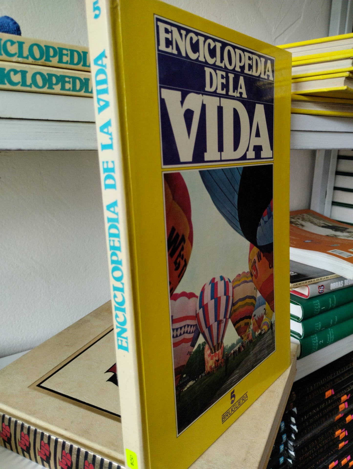 ENCICLOPEDIA DE LA VIDA 5 USADO PSICOLOGIA JUAREZ 515