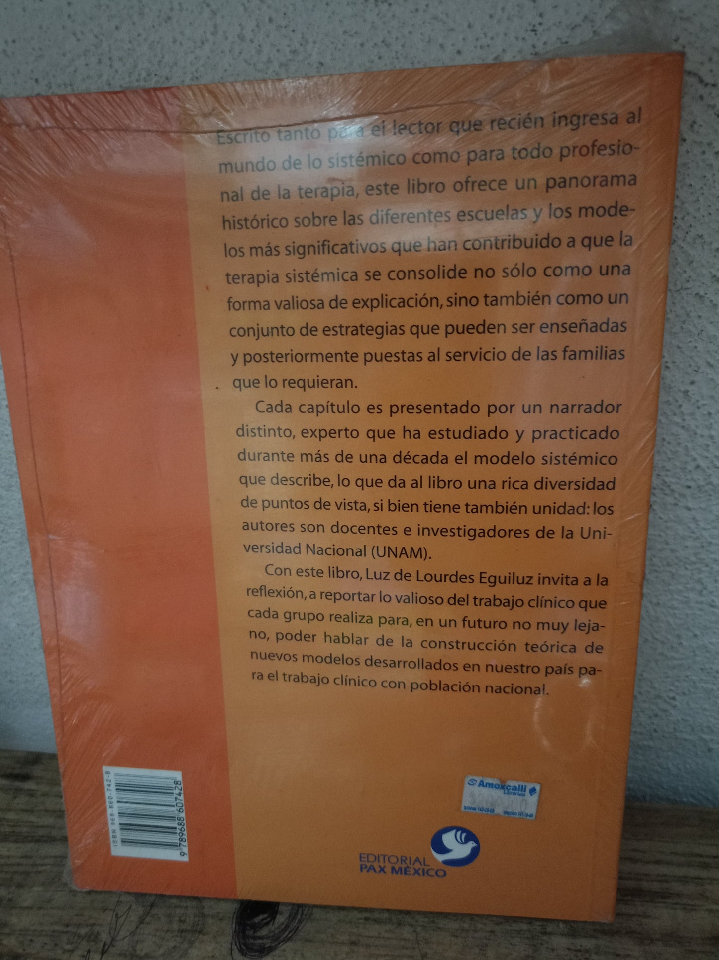TERAPIA FAMILIAR POR LUZ DE LOURDES EGUILUZ NUEVO LIBROS NUEVOS LITERARIO 305