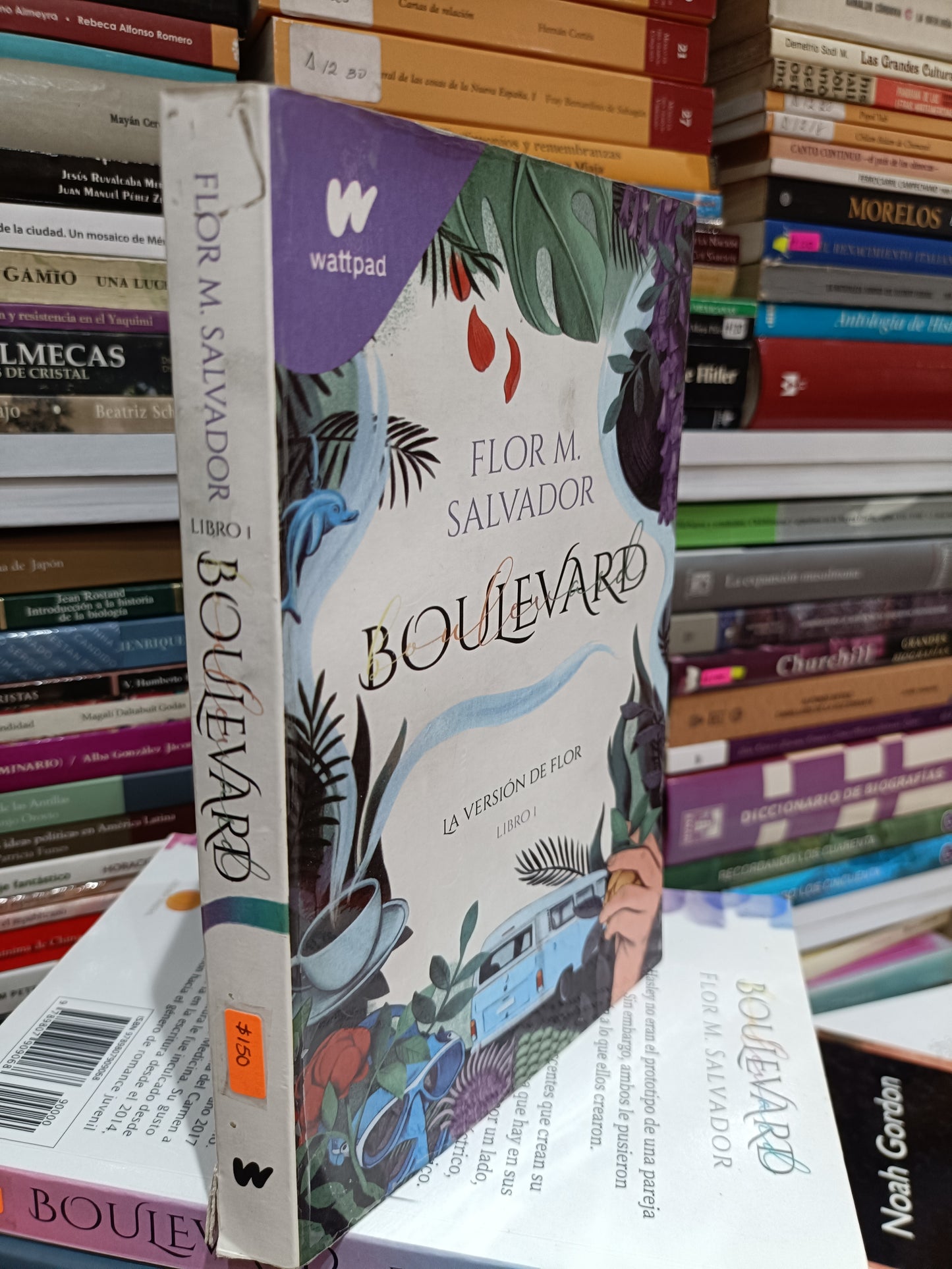 BOULEVARD POR FLOR M SALVADOR USADOS NOVELAS JUAREZ 515