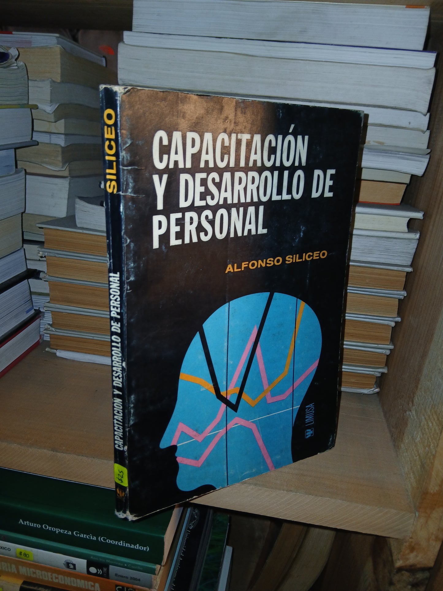 CAPACITACIÓN Y  DESARROLLO DE PERSONAL POR ALFONSO SILICEO USADO MARKETING LITERARIO 207