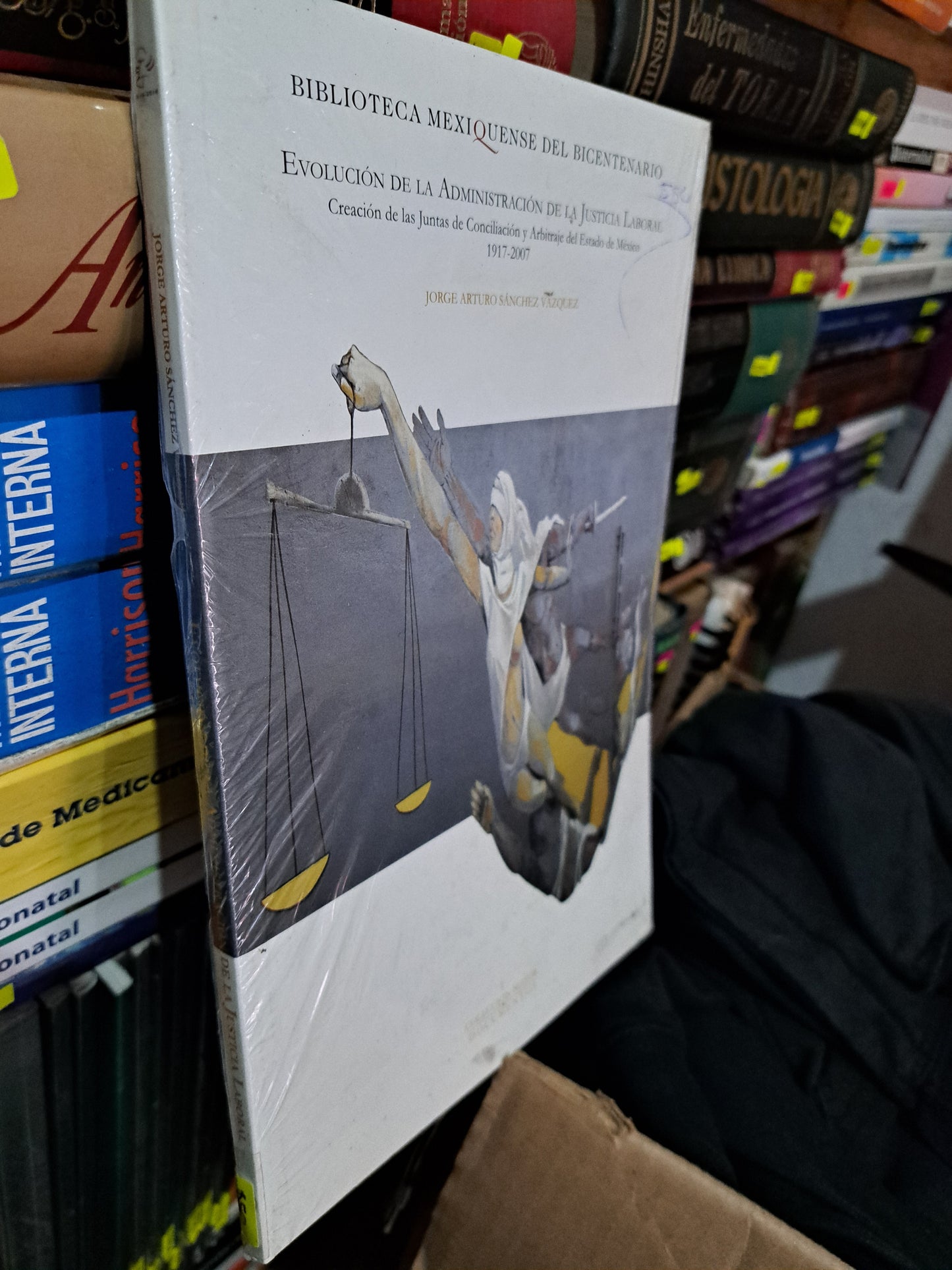 EVOLUCIÓN DE LA ADMINISTRACIÓN DE LA JUSTICIA LABORAL JORGE ARTURO SÁNCHEZ VÁZQUEZ NUEVO LIBROS NUEVOS LITERARIO 305