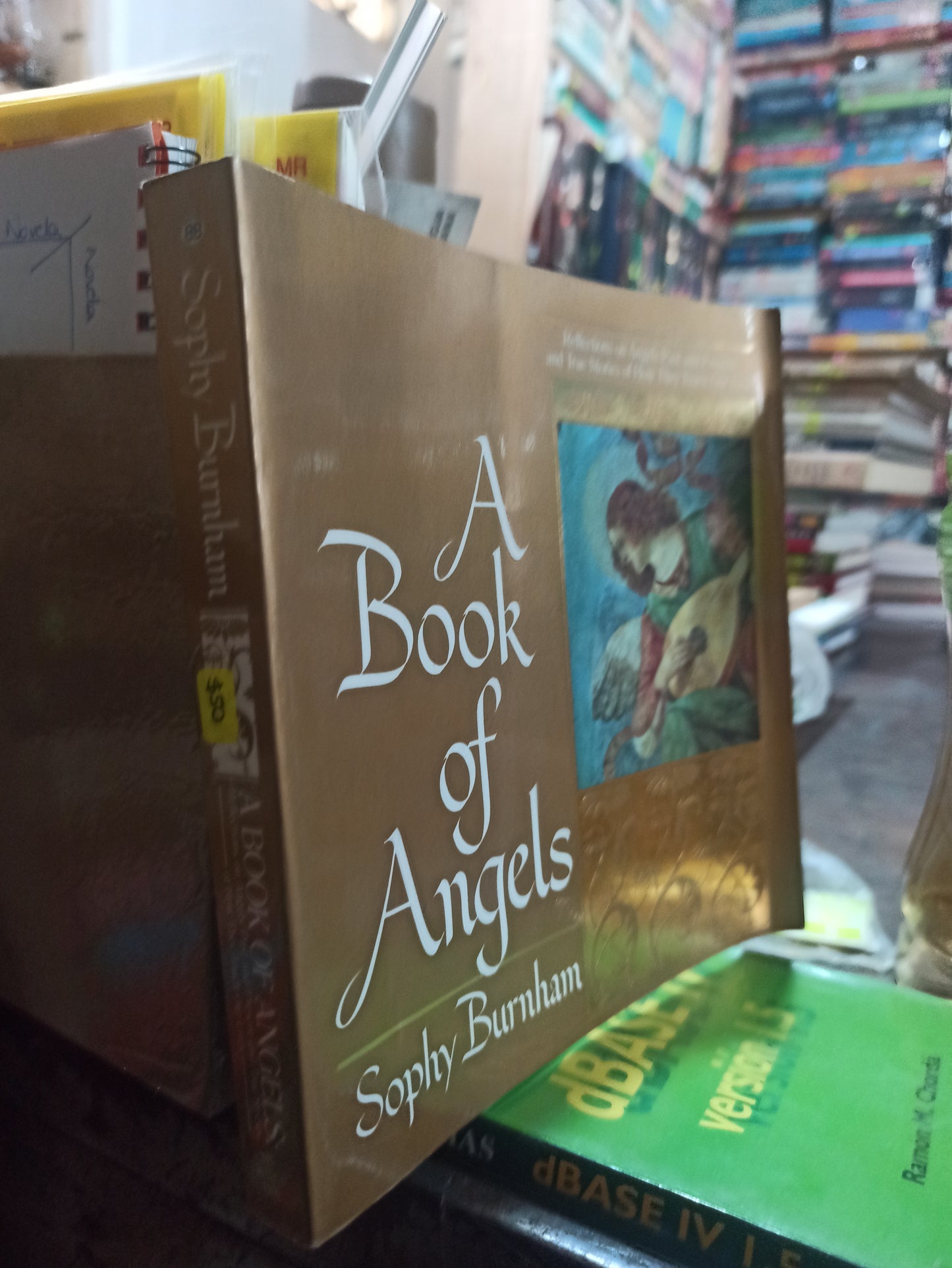 A BOOK OF ANGELS POR SOPHY BURNHAM USADO IDIOMAS ALDAMA