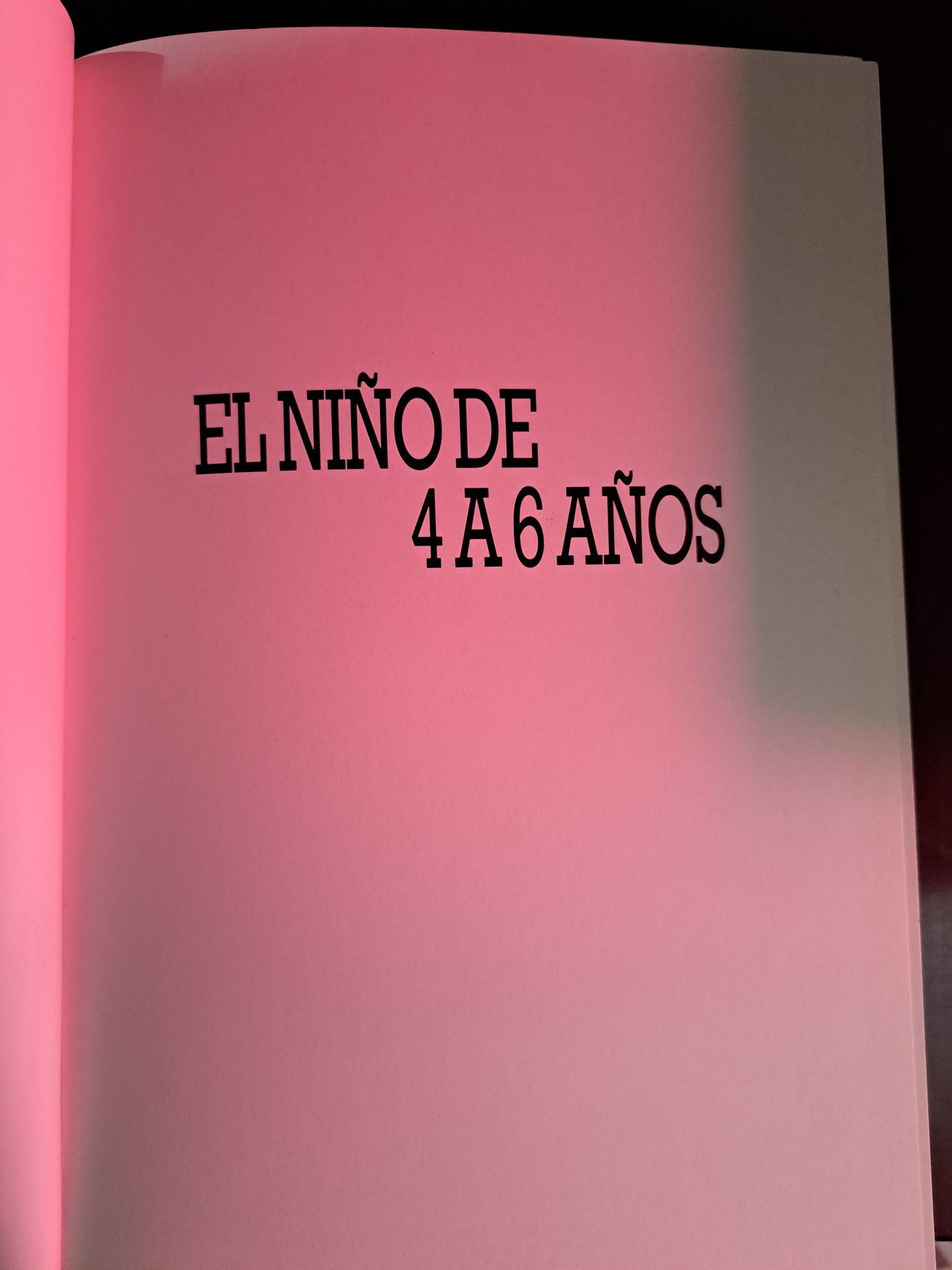 NUESTROS HIJOS EDUCACIÓN VISUAL EL NIÑO DE 4 A 6 AÑOS MARÍA EULALIA NAVARRO USADO PSICOLOGÍA LITERARIO 305