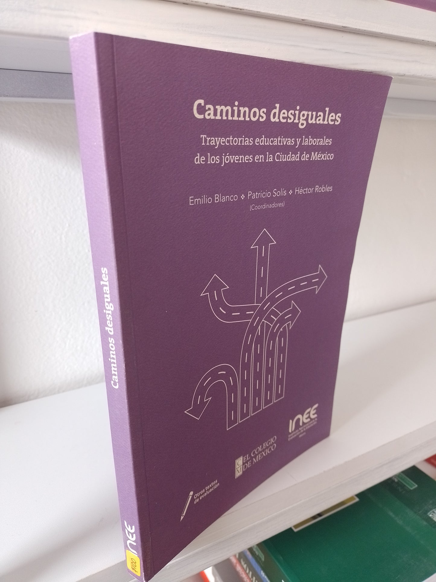 CAMINOS DESIGUALES POR EMILIO BLANCO PATRICIO SOLIS HECTOR ROBLES USADO POLITICA JUAREZ 515