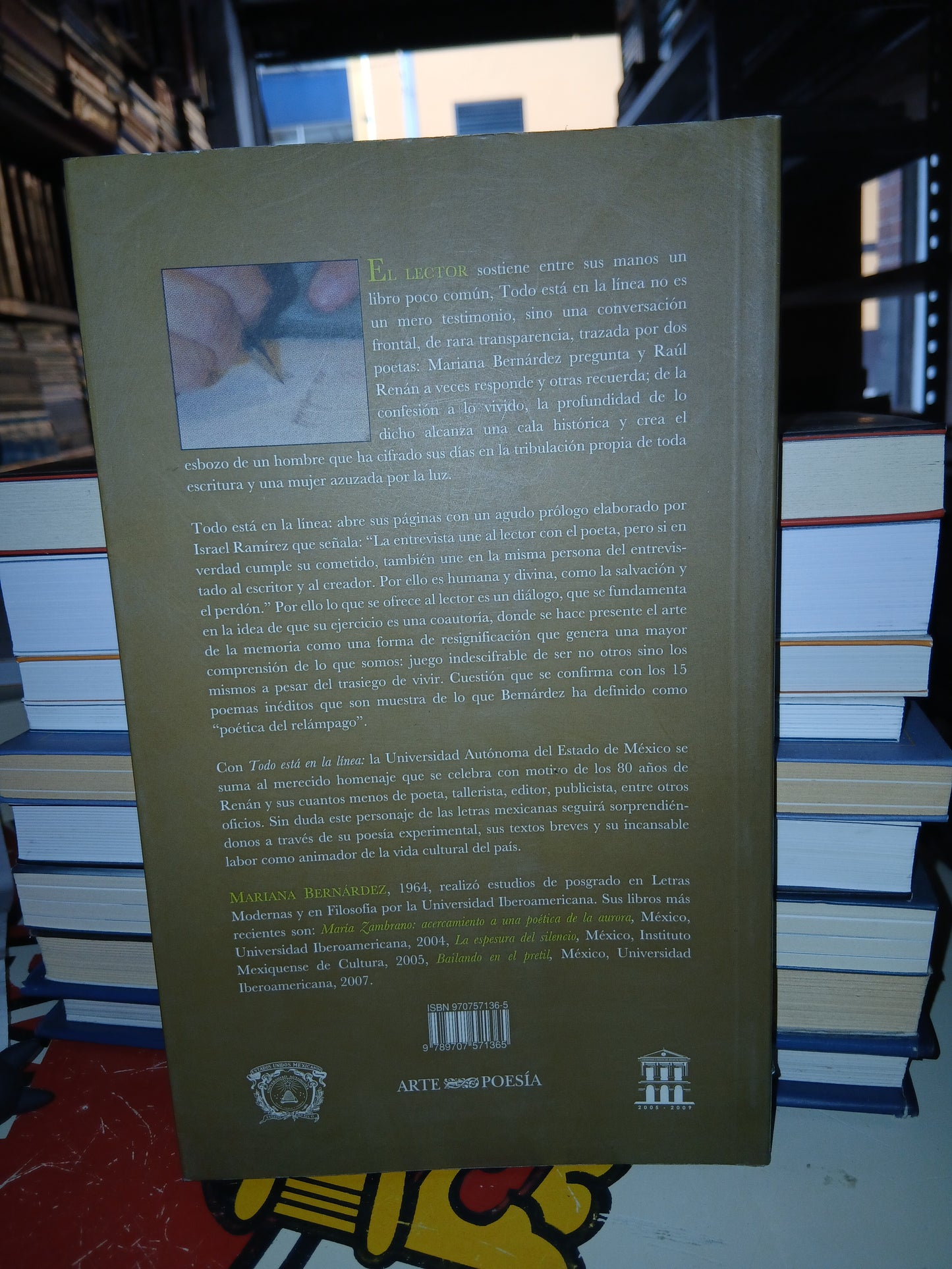 TODO ESTÁ EN LA LÍNEA: CONVERSACIONES CON RAÚL RENÁN Y 15 POEMAS INÉDITOS POR MARIANA BERNÁRDEZ USADO NOVELA LITERARIO 207