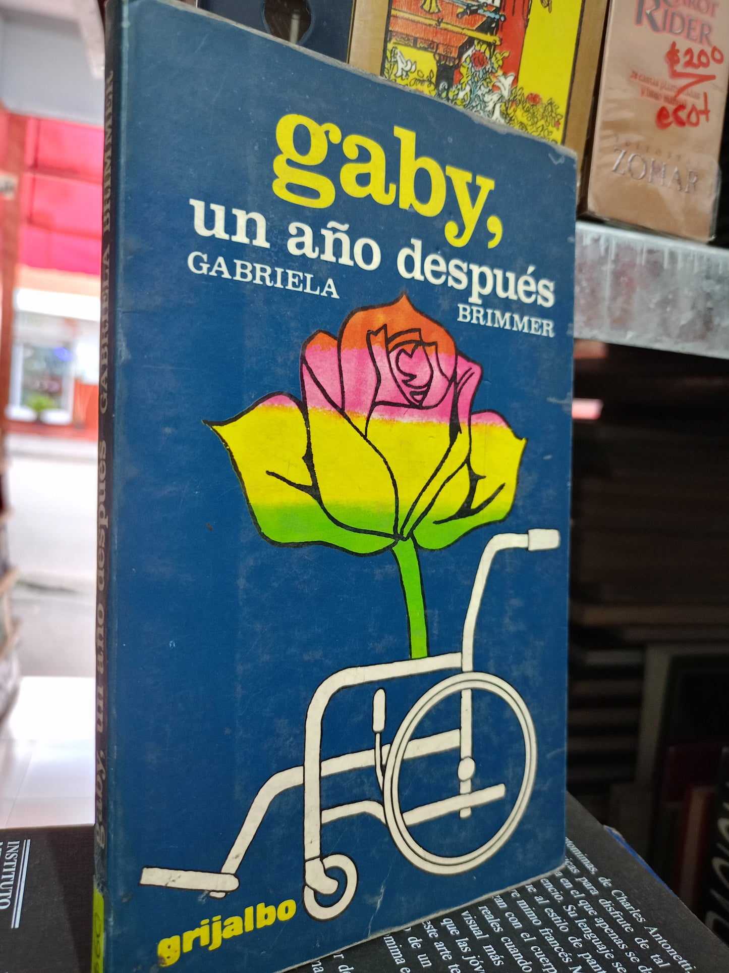 GABY UN AÑO DESPUÉS GABRIELA BRIMMER USADO POESIA LITERARIO #305