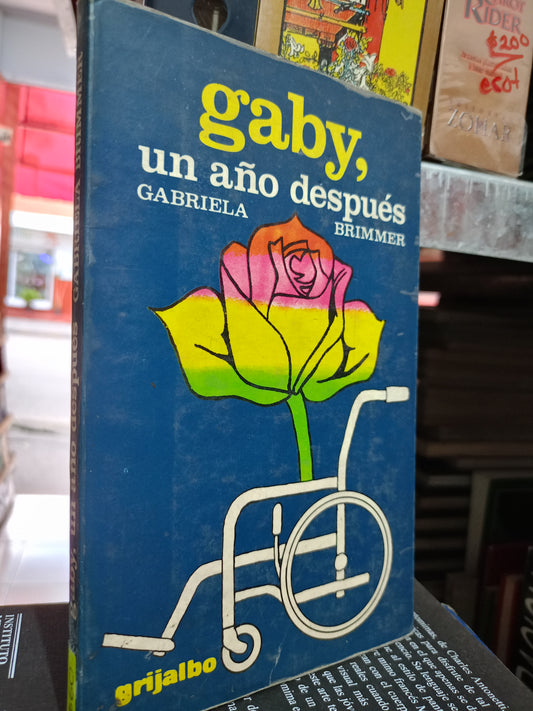 GABY UN AÑO DESPUÉS GABRIELA BRIMMER USADO POESIA LITERARIO #305
