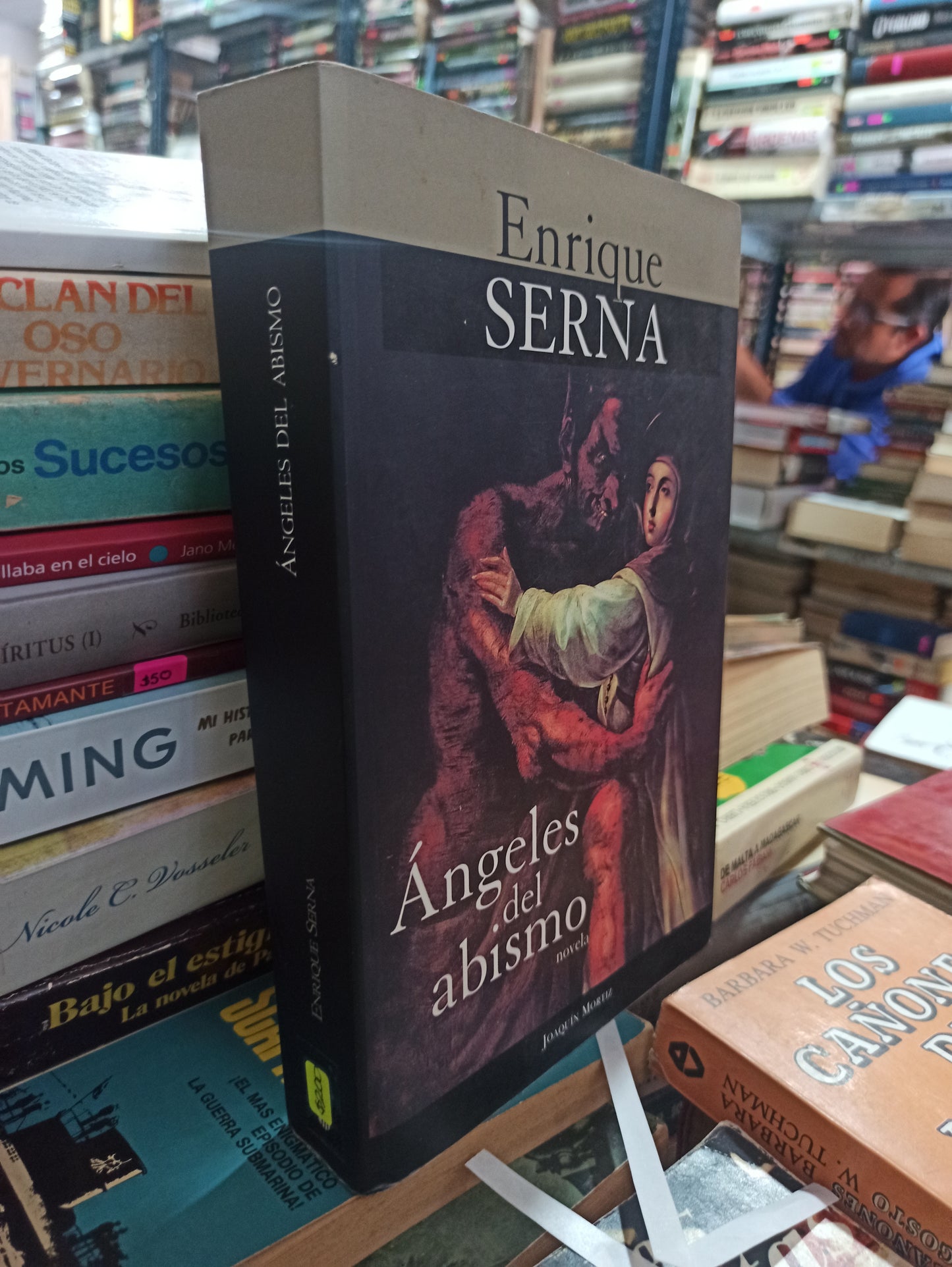 ÁNGELES DEL ABISMO POR ENRIQUE SERNA USADO NOVELAS ALDAMA