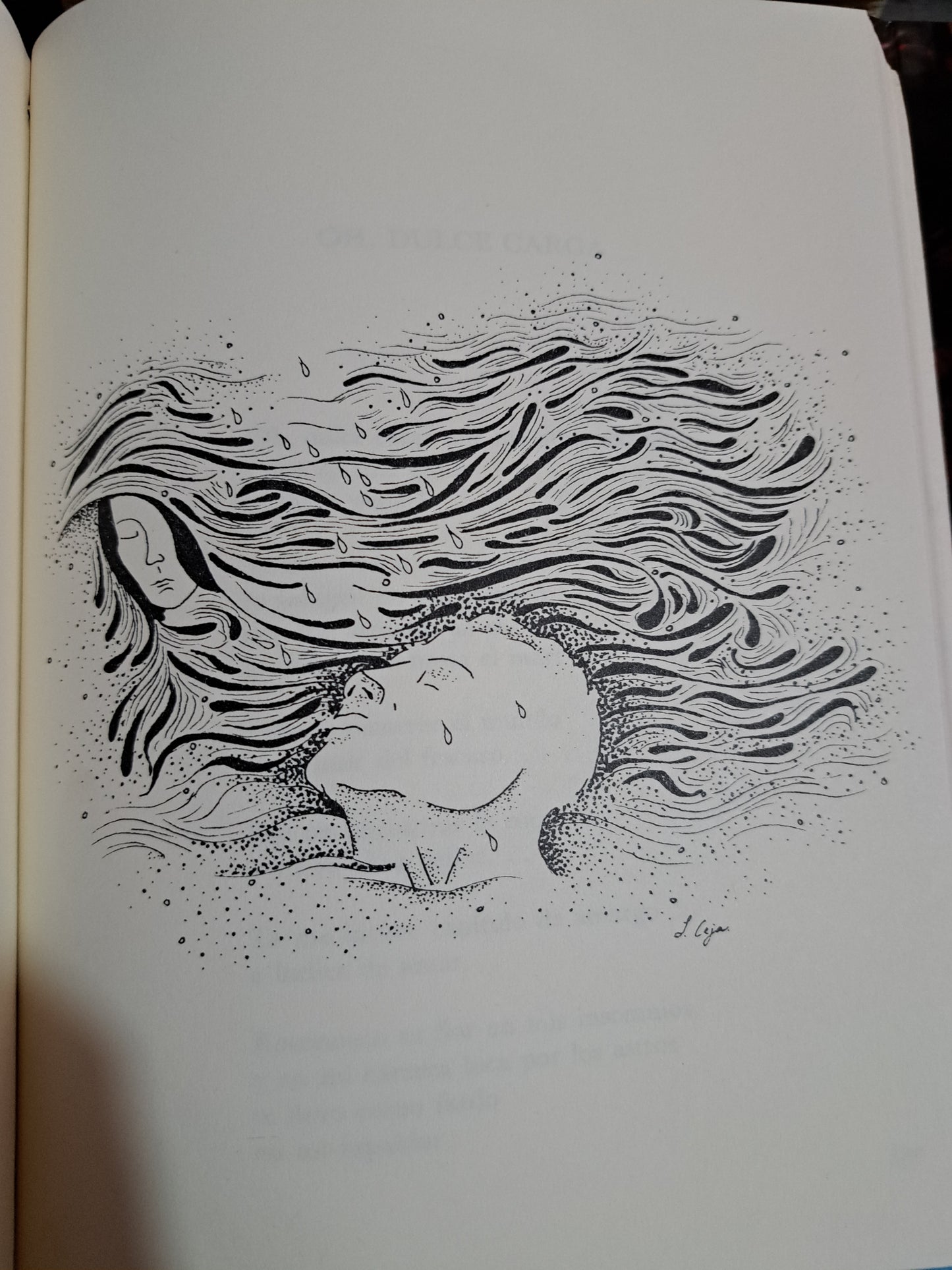 XAVIER SAN MARTIN OBRA POÉTICA USADO POESÍA ALDAMA