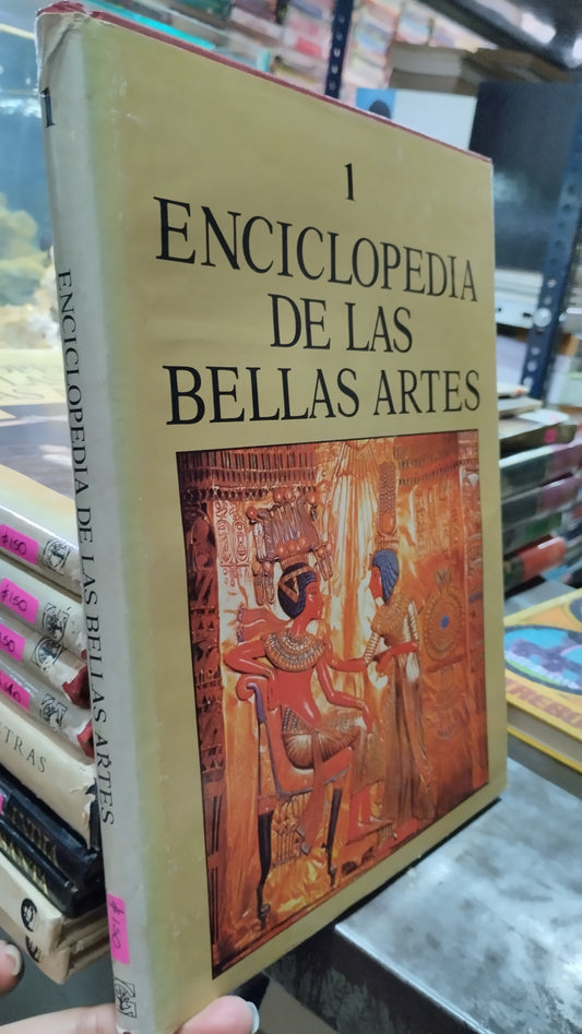 ENCICLOPEDIA DE LAS BELLAS ARTES 1 LIBRO USADO ARTE ALDAMA