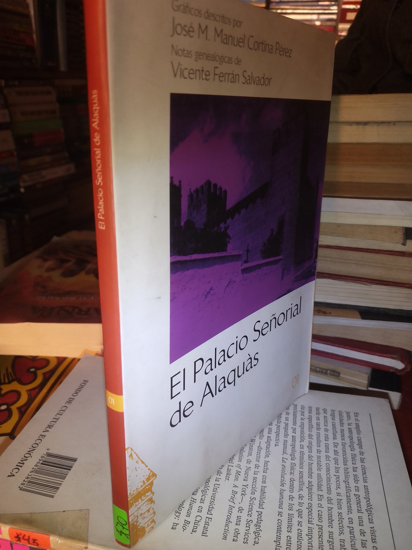 EL PALACIO SEÑORIAL DE ALAQUAS POR AUTORES VARIOS USADO HISTORIA LITERARIO 207