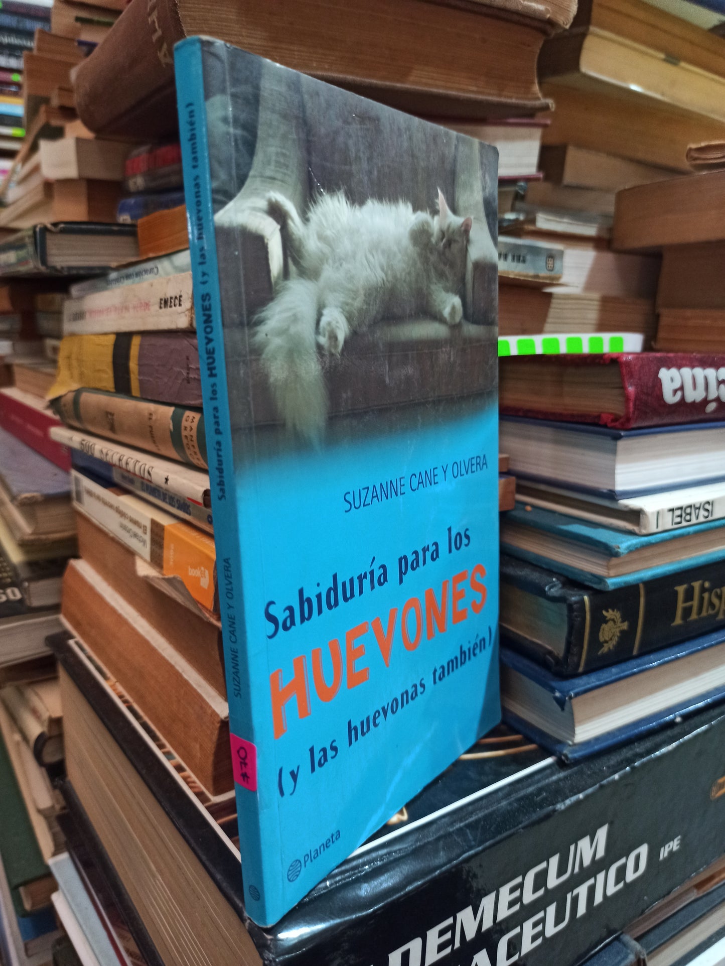 SABIDURÍA PARA LOS HUEVONES (Y LAS HUEVONAS TAMBIÉN) POR SUZANNE CANE Y OLVERA USADO SUPERACIÓN PERSONAL ALDAMA
