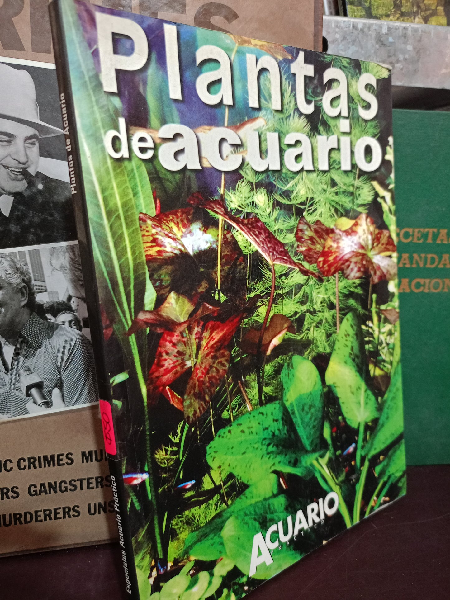 PLANTAS DE ACUARIO USADO BIOLOGÍA LITERARIO 305