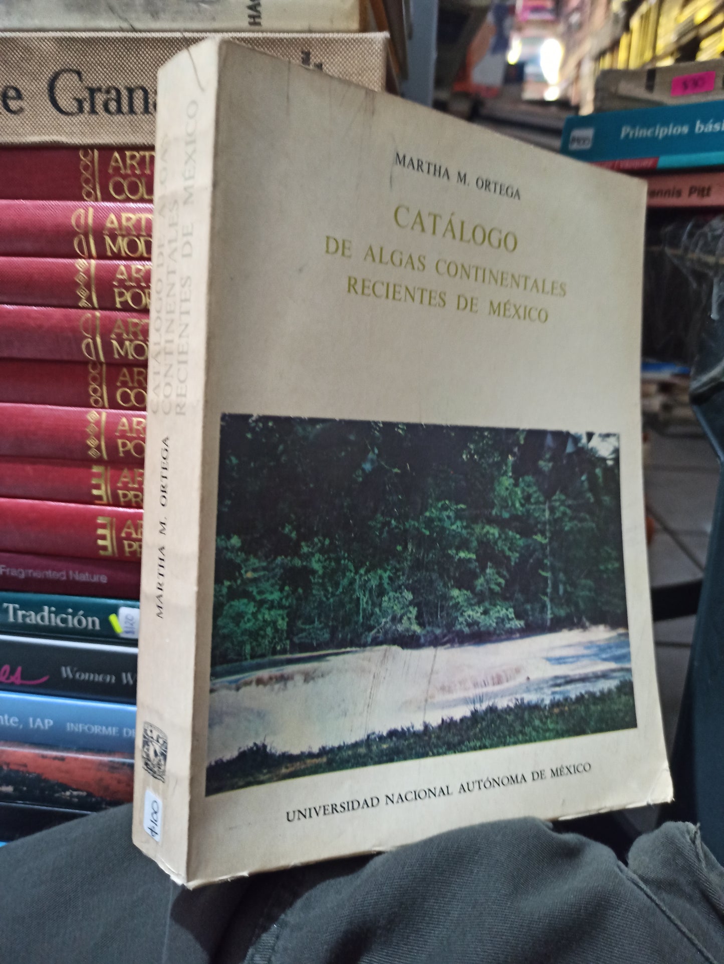 CATALOGO DE ALGAS CONTINENTALES RECIENTES DE MEXICO POR MARTHA M. ORTEGA USADO BIOLOGÍA JUÁREZ