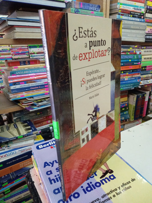 ESTAS A PUNTO DE EXPLOTAR POR MARIO SALAS USADO SUPECION PERSONAL LITERARIO 207