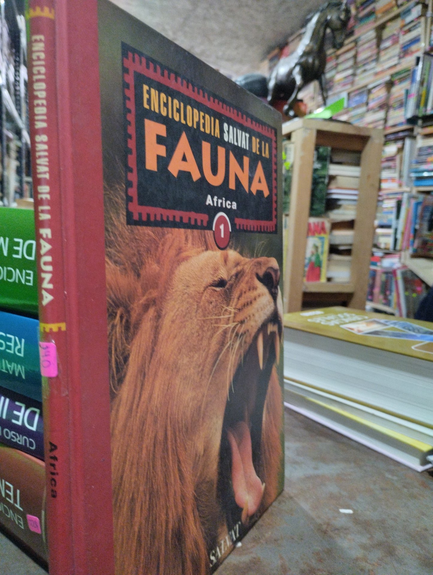 ENCICLOPEDIA SALVAT DE LA FAUNA POR FELIX RODRIGUEZ DE LA FUENTE USADO BIOLOGIA ALDAMA