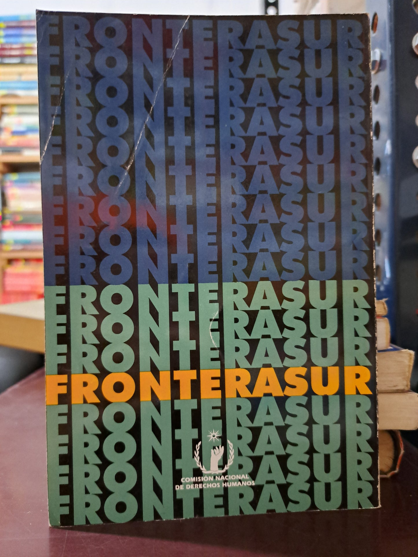 INFORME SOBRE VIOLACIONES A LOS DERECHOS HUMANOS DE LOS INMIGRANTES. FRONTERA SUR CNDH USADO HISTORIA LITERARIO 305