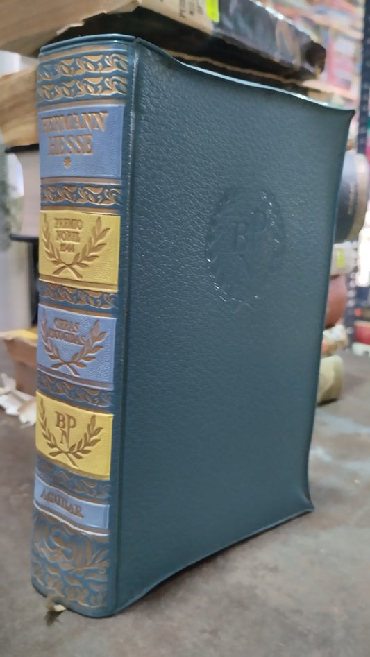 OBRAS ESCONDIDAS POR HERMANN HESSE LIBRO USADO ANTIGUO ALDAMA