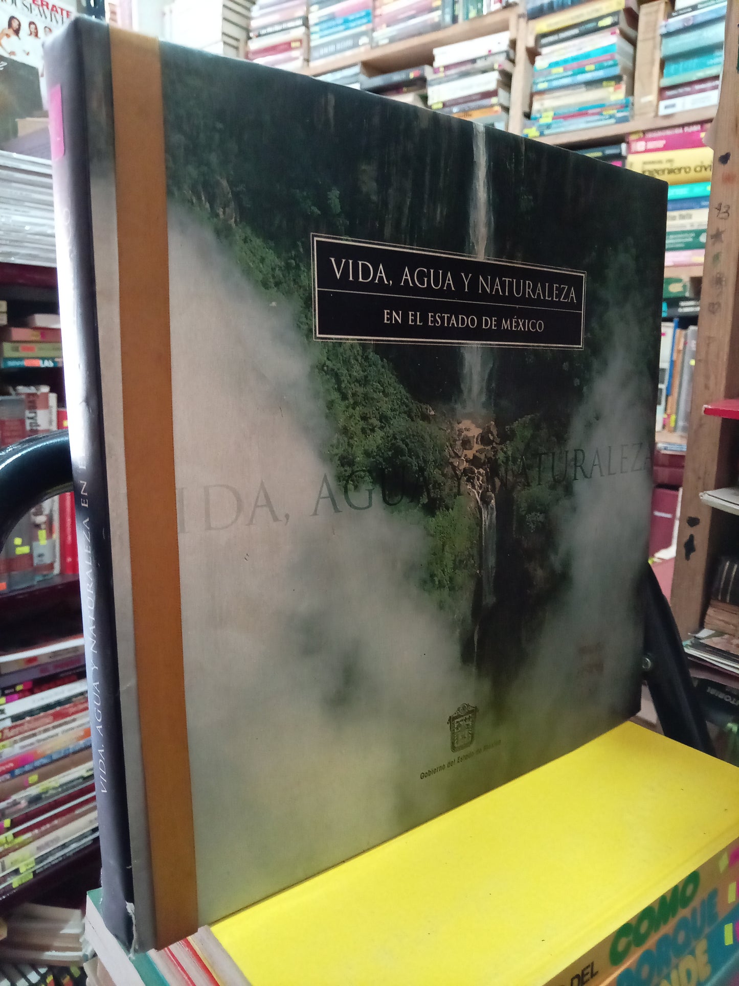 VIDA AGUA Y NATURALEZA EN EL ESTADO DE MEXICO USADO ARTE LITERARIO 305