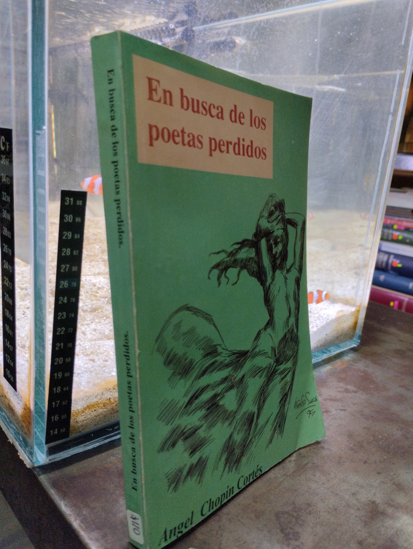 EN BUSCA DE LOS POETAS PERDIDOS POR ANGEL CHOPIN CORTES USADOS POESIAS ALDAMA