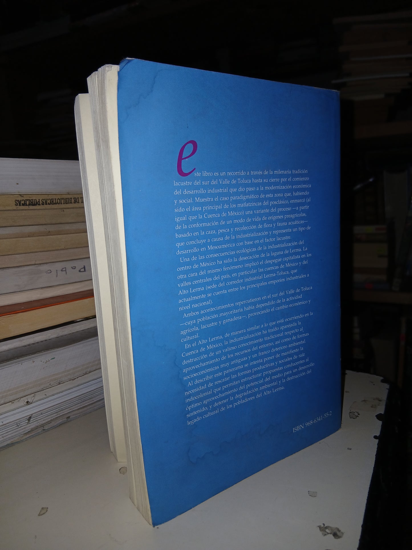 TULES Y SIRENAS EL IMPACTO ECOLÓGICO Y CULTURAL DE LA INDUSTRIALIZACIÓN EN EL ALTO LERMA POR BEATRIZ A. ALBORES ZÁRATE USADO BIOLOGÍA LITERARIO 207
