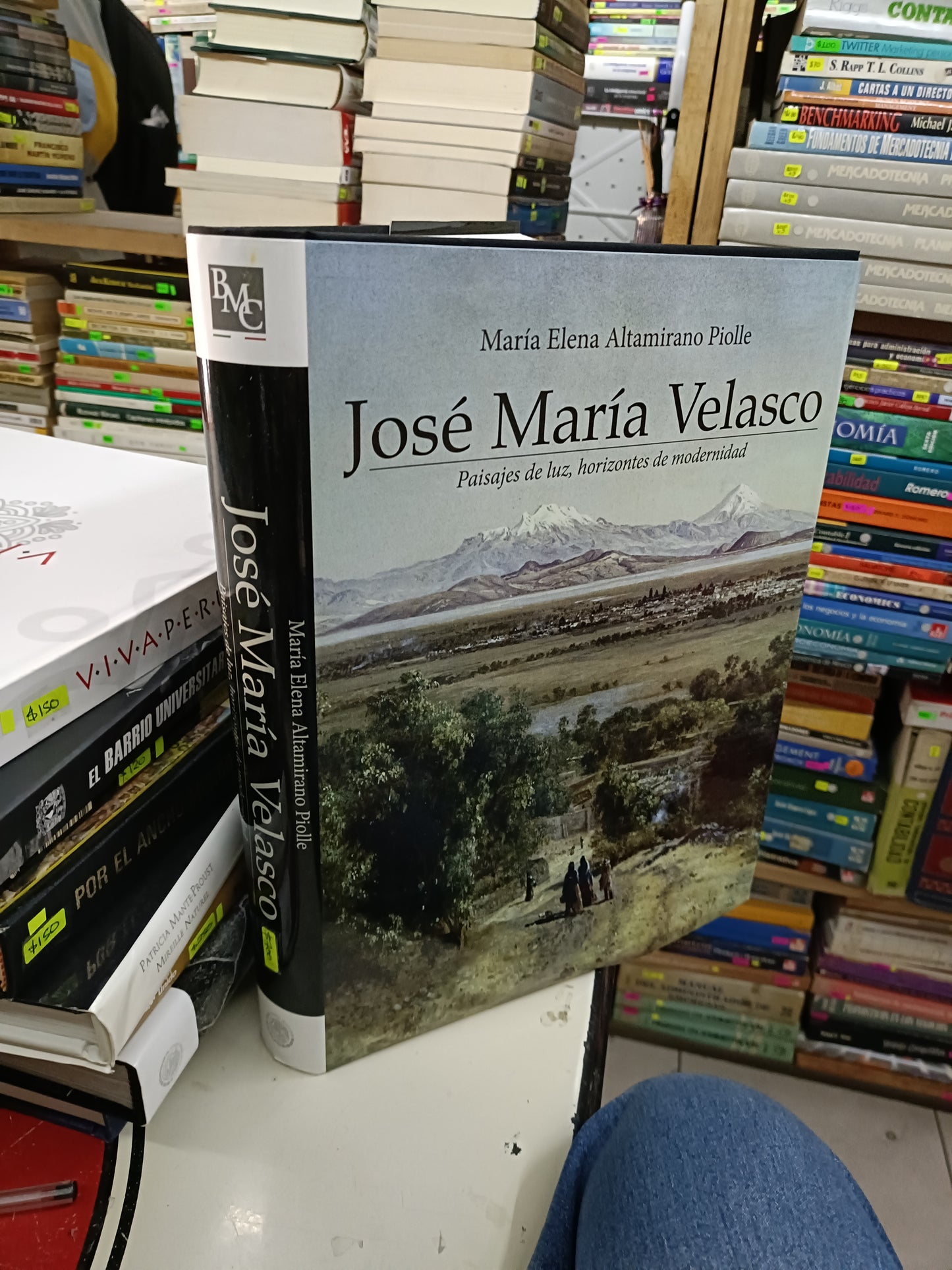 JOSÉ MARÍA VELASCO POR MARÍA ELENA ALTAMIRANO PIOLLE USADO ARTE LITERARIO 207