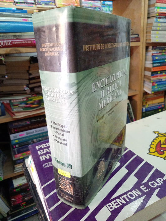 ENCICLOPEDIA JURIDICA MEXICANA TOMO XI  USADO DERECHO LITERARIO 207
