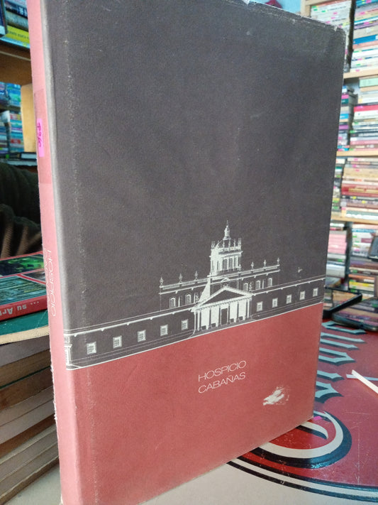 HOSPICIO CABAÑAS POR ALEJANDRO ROSAS USADO ARTE LITERARIO 207