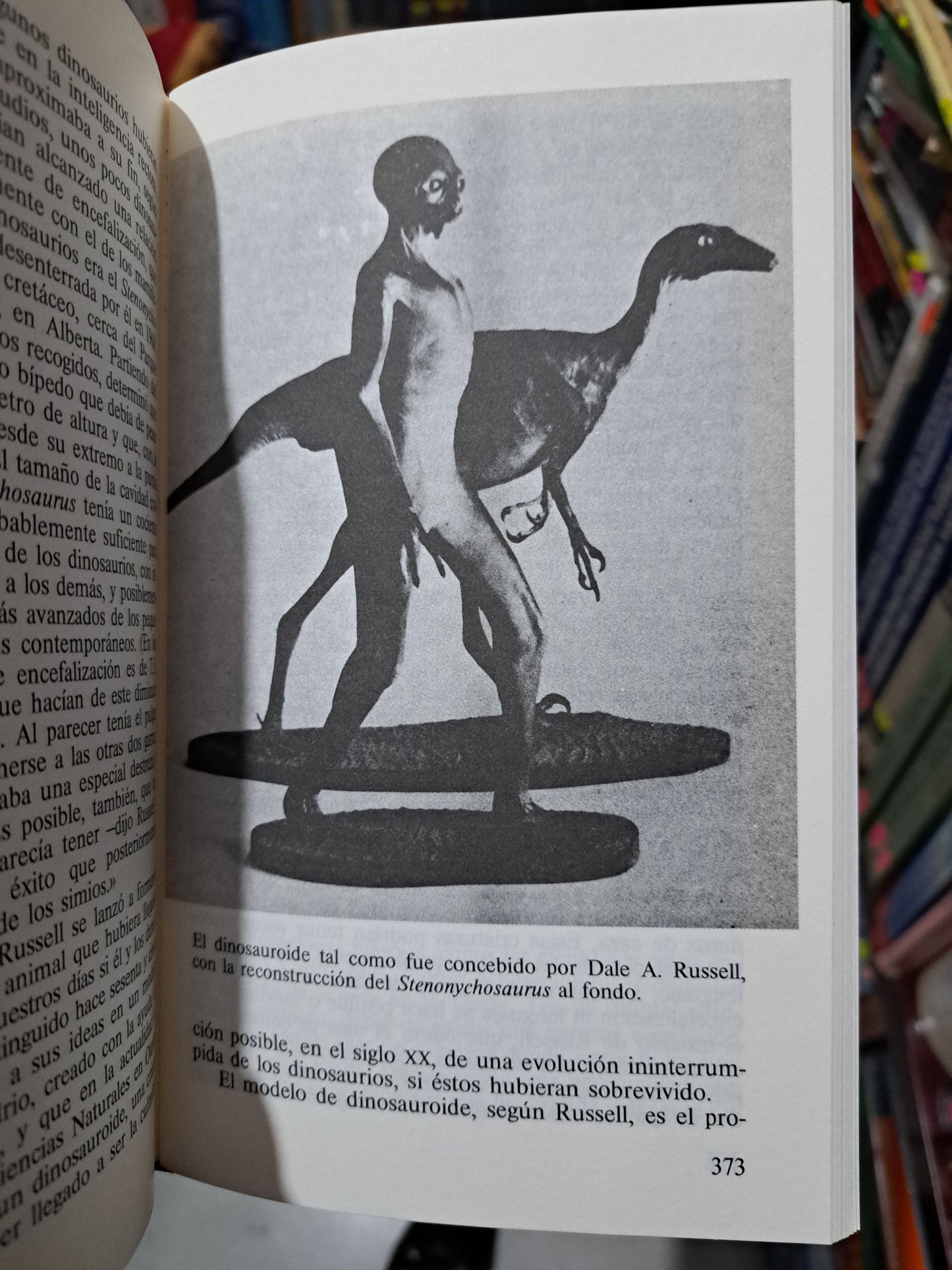 EL ENIGMA DE LOS DINOSAURIOS J.N.WILFORD USADO NOVELA LITERARIO 305