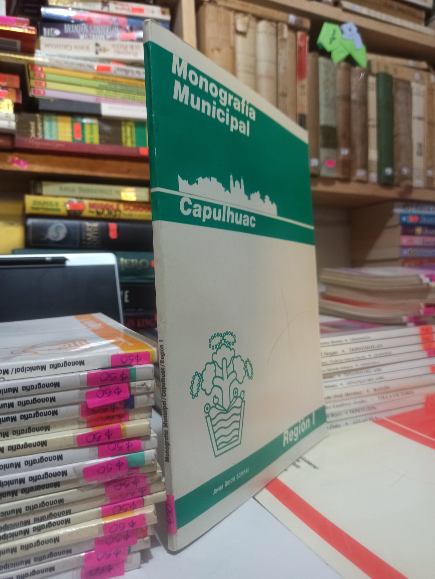 MONOGRAFIA MUNICIPAL CAPULHUAC POR JAVIER GARCIA SANCHEZ USADO EDOMEX JUÁREZ