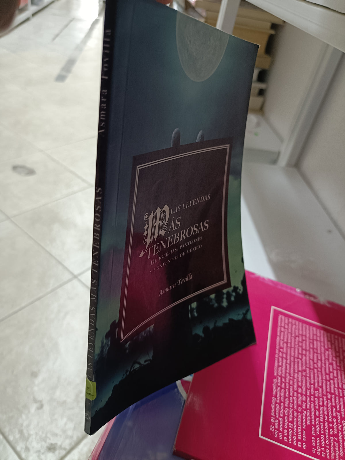 LAS LEYENDAS MAD TENEBROSAS POT ASMARA TOVILLA USADO INFANTIL JUAREZ 515