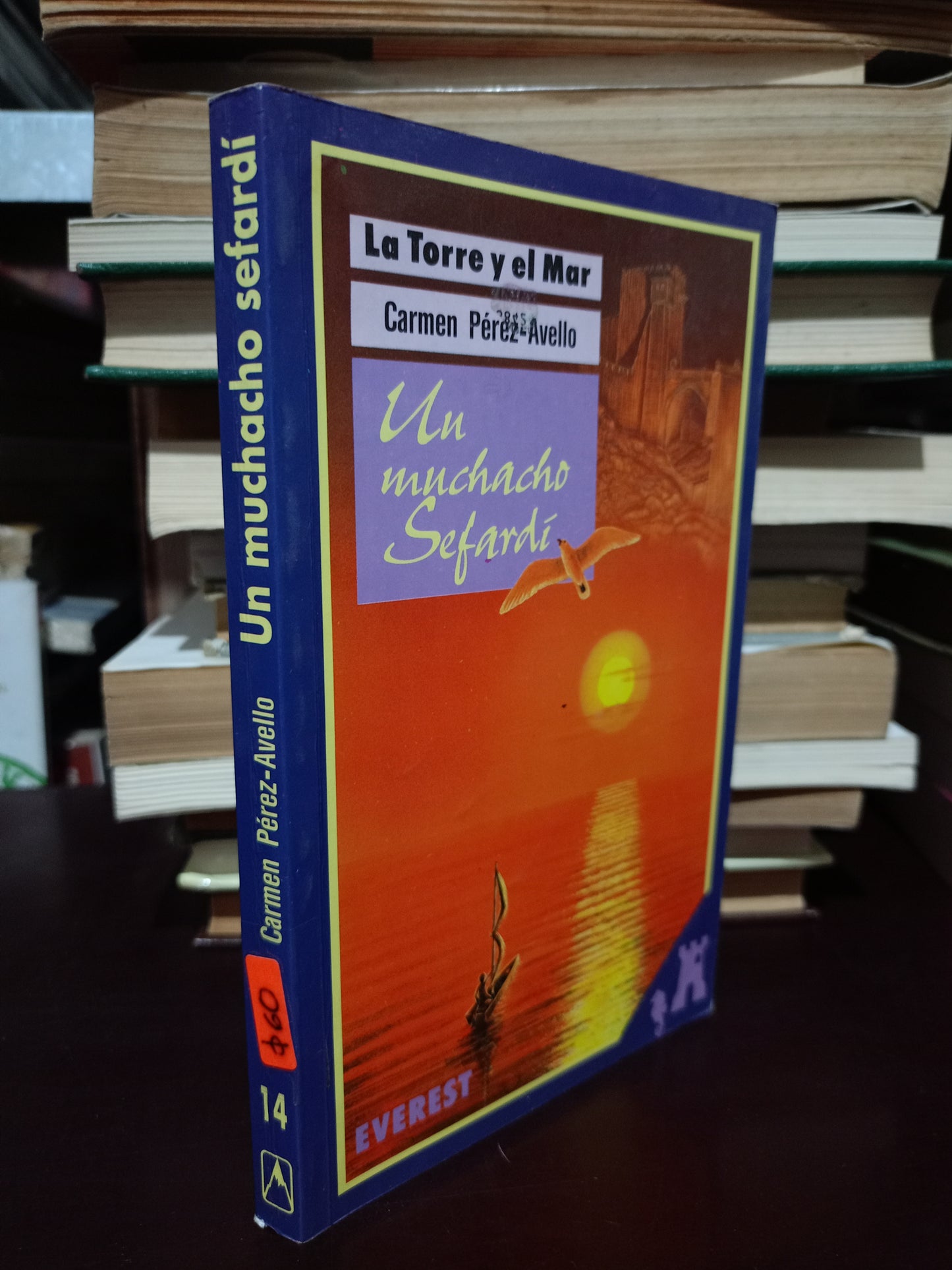 UN MUCHACHO SEFARDÍ POR CARMEN PÉREZ-AVELLO USADO NOVELA LITERARIO 305