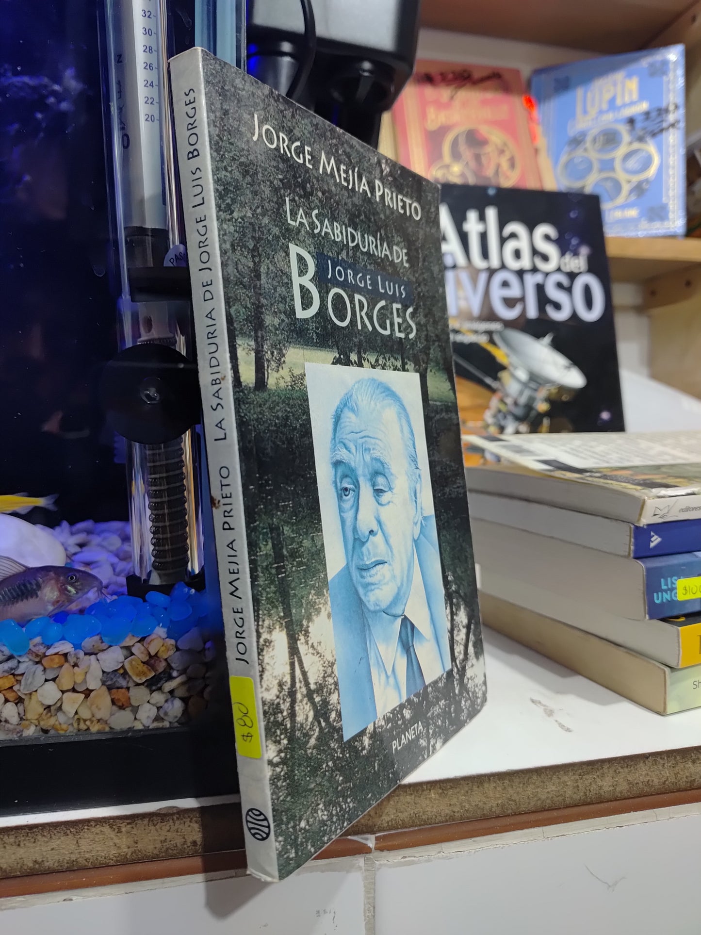 LA SABIDURIA DE JORGE LUIS BORGES POR JORGE MEJIA PRIETO USADO NOVELAS JUAREZ