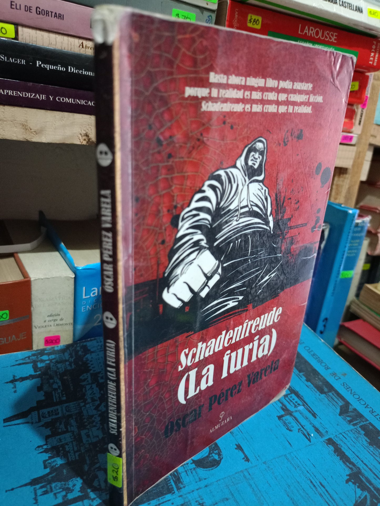 SCHADENFREUDE LA FURIA POR OSCAR PEREZ VARELA USADO NOVELA LITERARIO 305