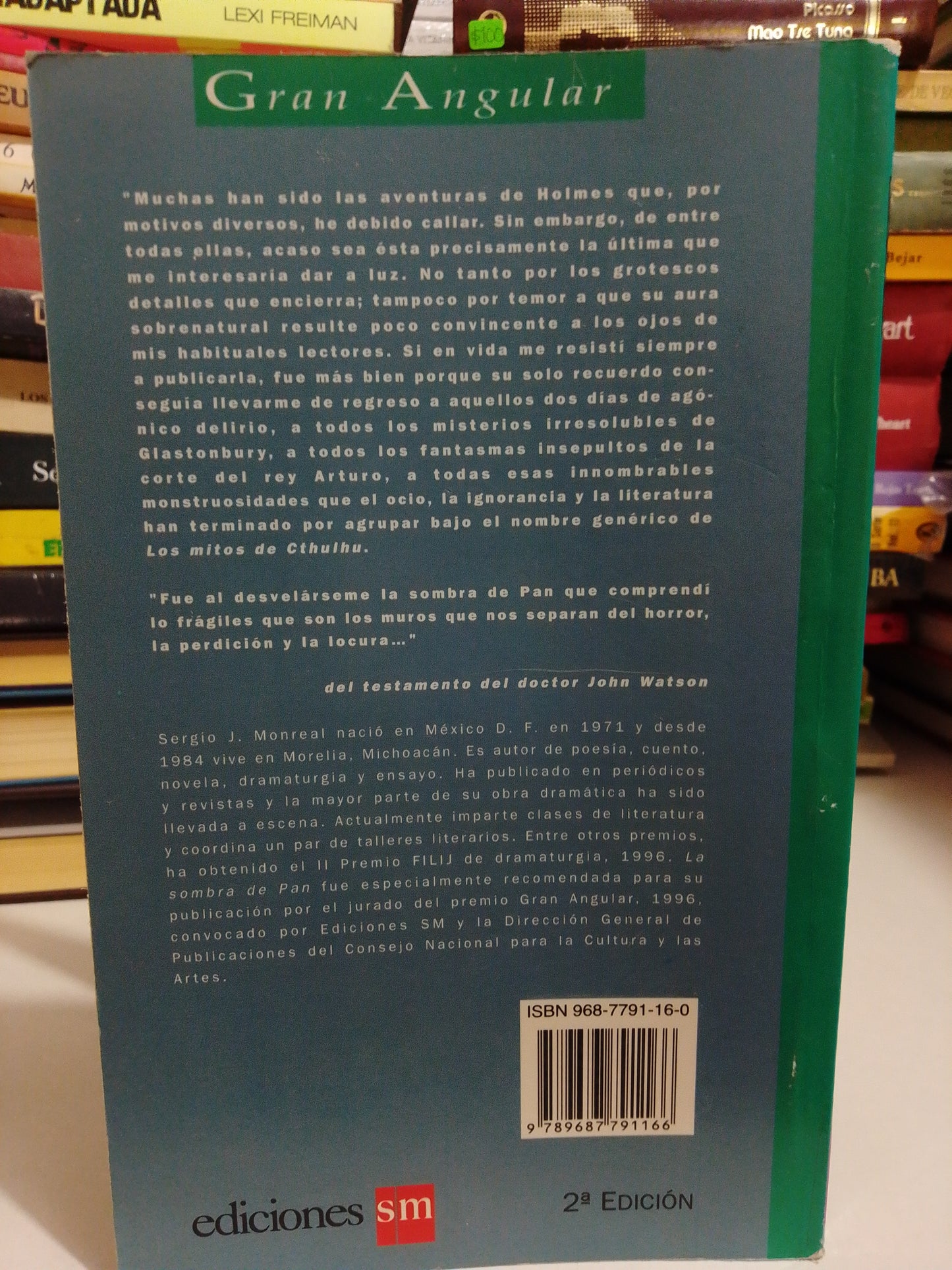 LA SOMBRA DE PAN POR SERGIO J. MONREAL USADO NOVELA JUAREZ
