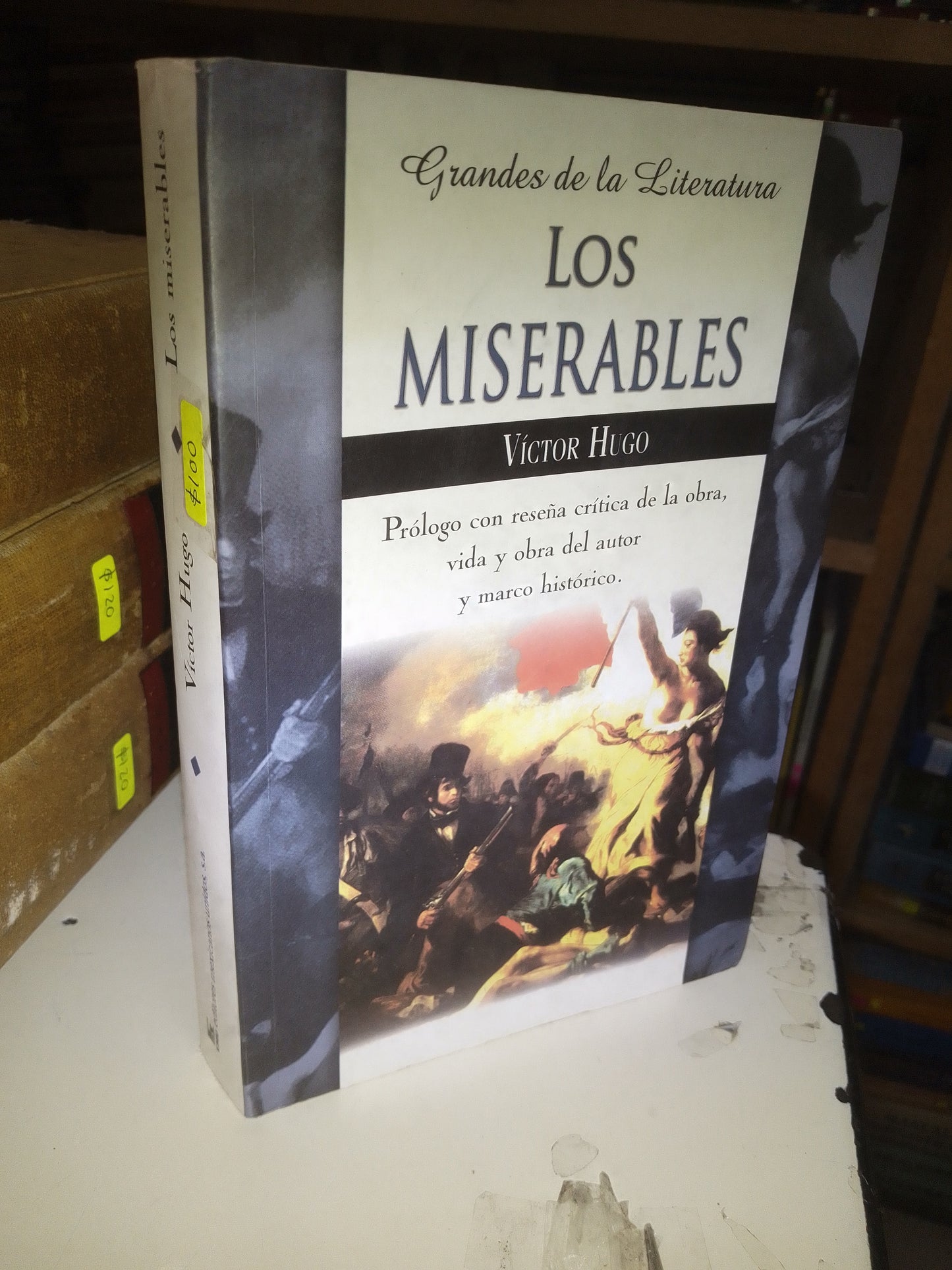 LOS MISERABLES POR VICTOR HUGO USADO NOVELA LITERARIO 207