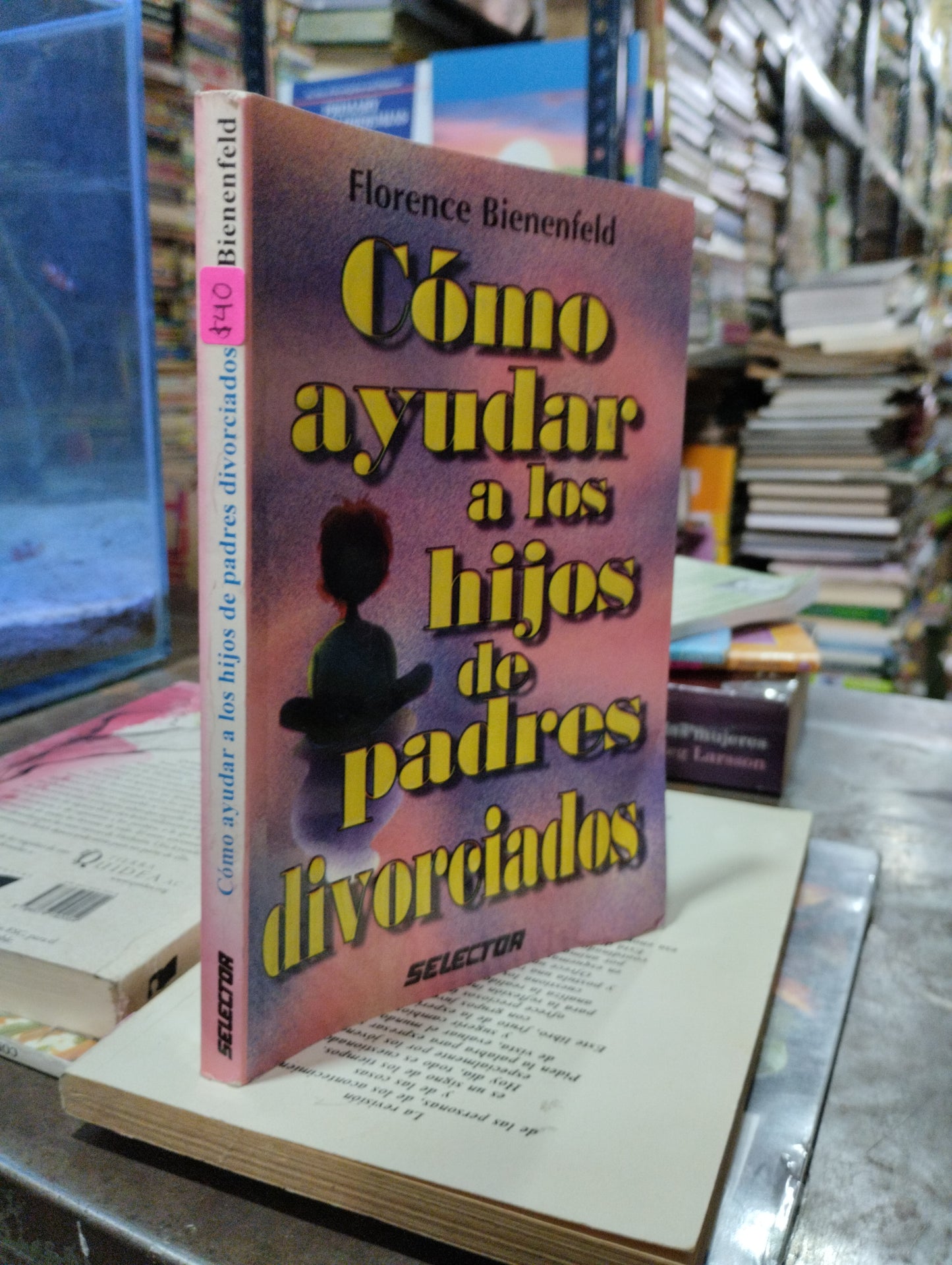 COMO AYUDAR A LOS HIJOS DE PADRES DIVORCIADOS POR FLORENCIA BIENENFEL USADO SUPERACION PERSONAL ALDAMA