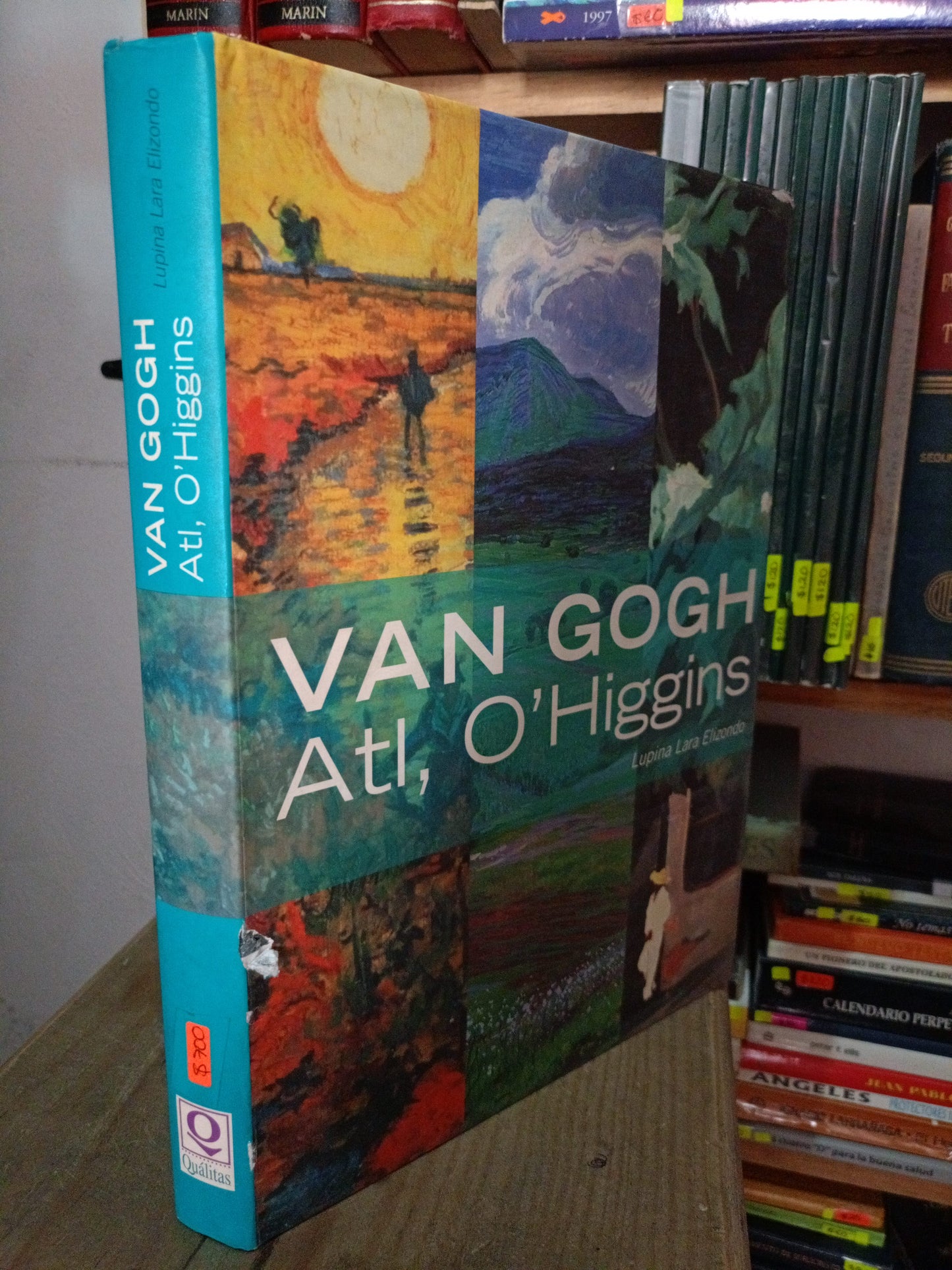 VAN GOGH ATL O'HIGGINS EXPRESIÓN HUMANA ESENCIA DEL PAISAJE POR LUPINA LARA ELIZONDO USADO HISTORIA LITERARIO 305